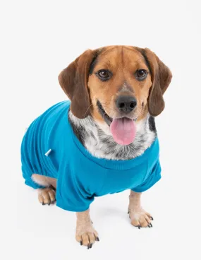 Dogs Solid Color Teal Pajamas