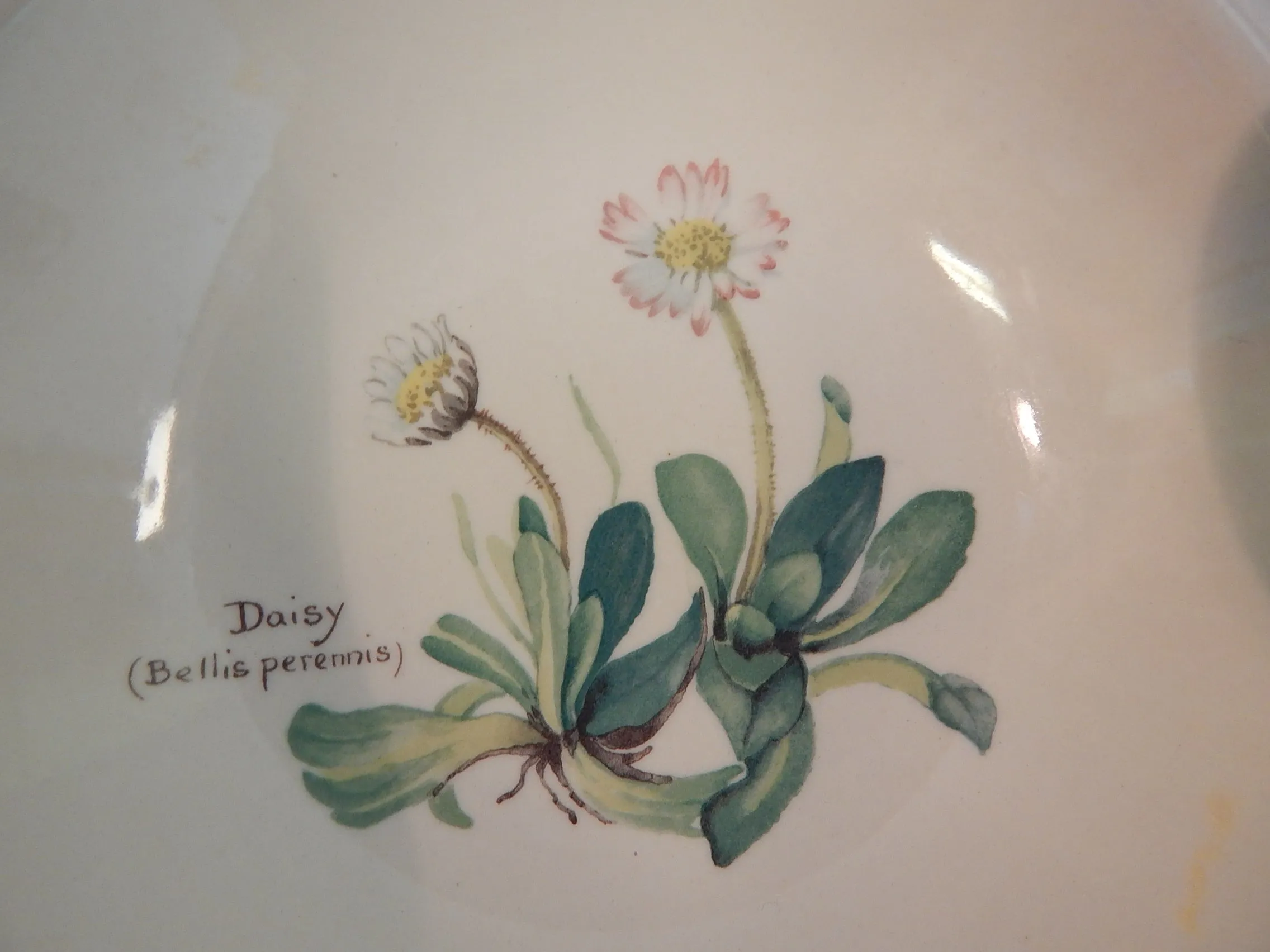 Noritake Ireland "The County Diary of an Edwardian Lady" Bowls - Very Good Condition as Noted