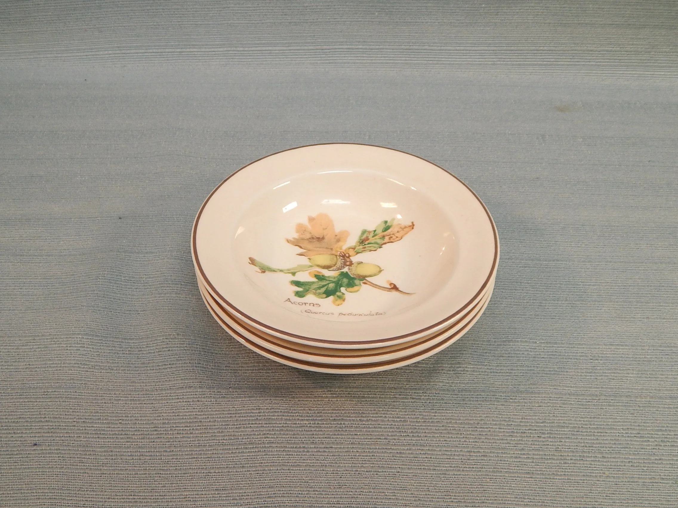 Noritake Ireland "The County Diary of an Edwardian Lady" Bowls - Very Good Condition as Noted