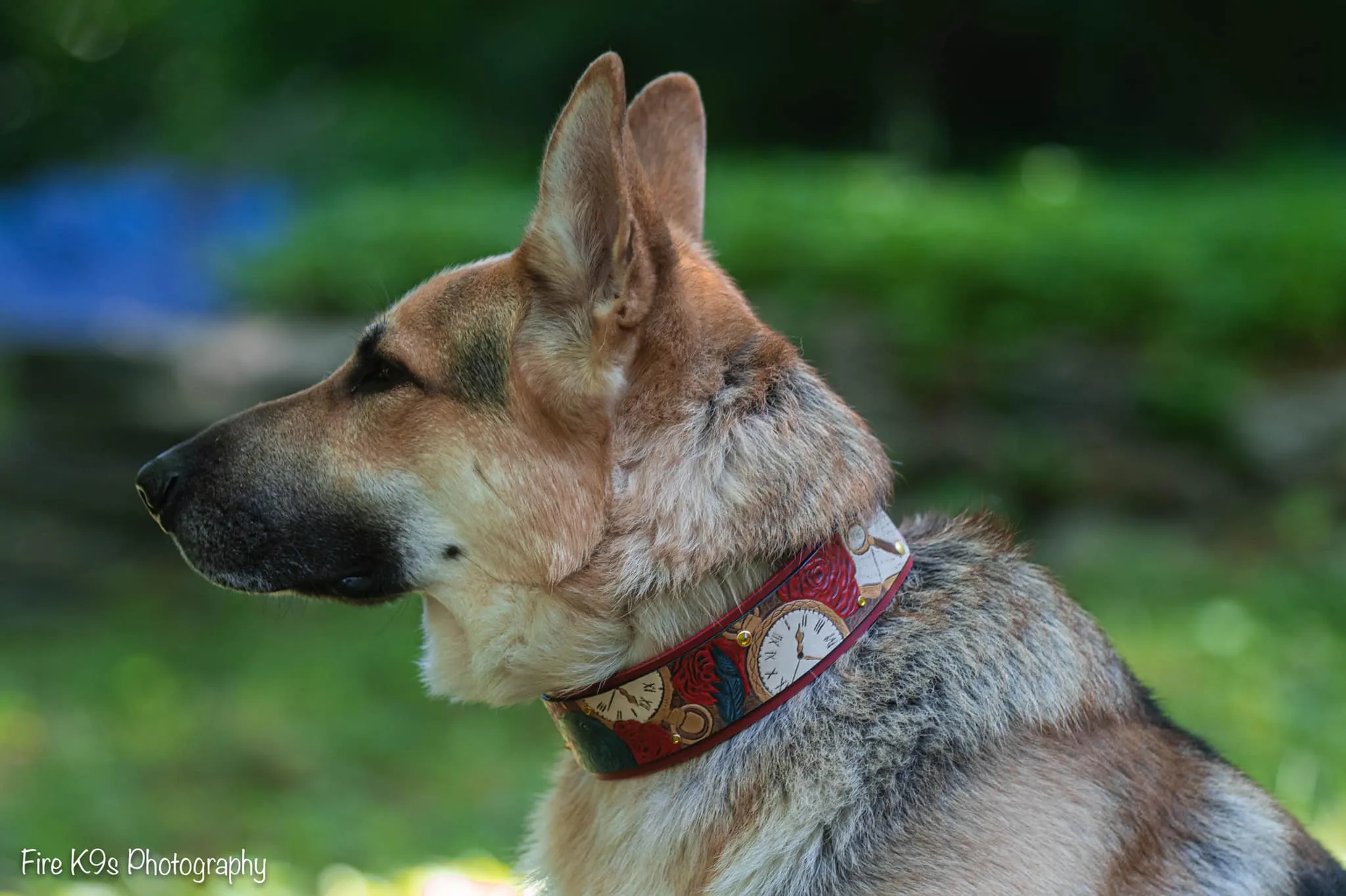 The Raven Dog Collar