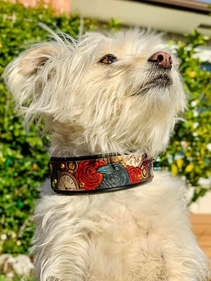 The Raven Dog Collar